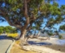 Lot 124 Stage 2, Clevedon Meadows, Clevedon,