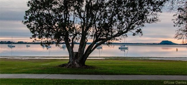 38 Triplefin Avenue, Omokoroa, , Bay of Plenty,