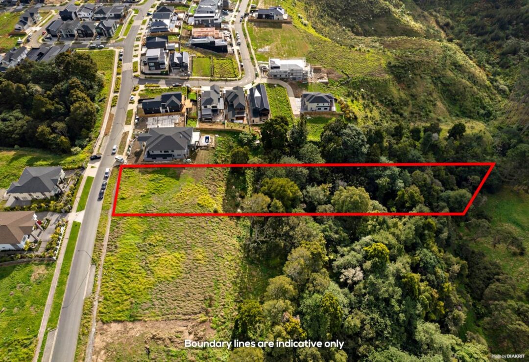 25 Michael Bosher Way, , Flat Bush,