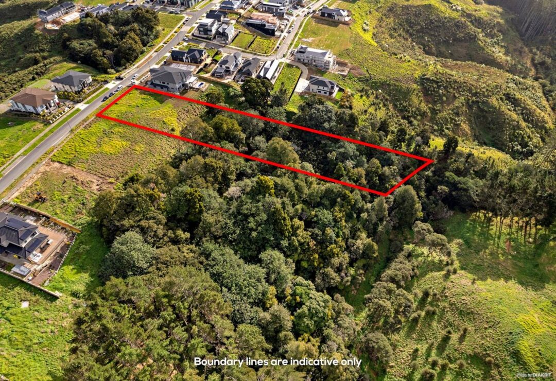 25 Michael Bosher Way, , Flat Bush,