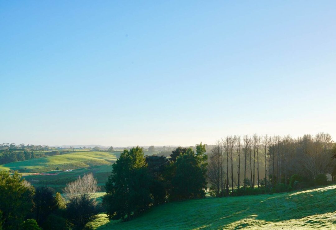 101 Trig Road, , Whitford,