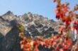 Lot 1179 Hanleys Farm, Jacks Point, Queenstown,